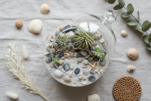 Beach Terrarium Workshop